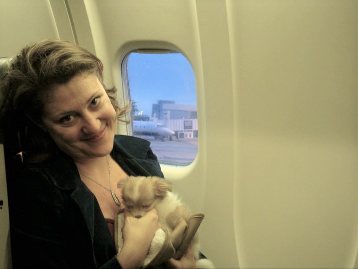 Montecristo on his first flight when Sonja picked him up from the breeder (Photo courtesy of Sonja).